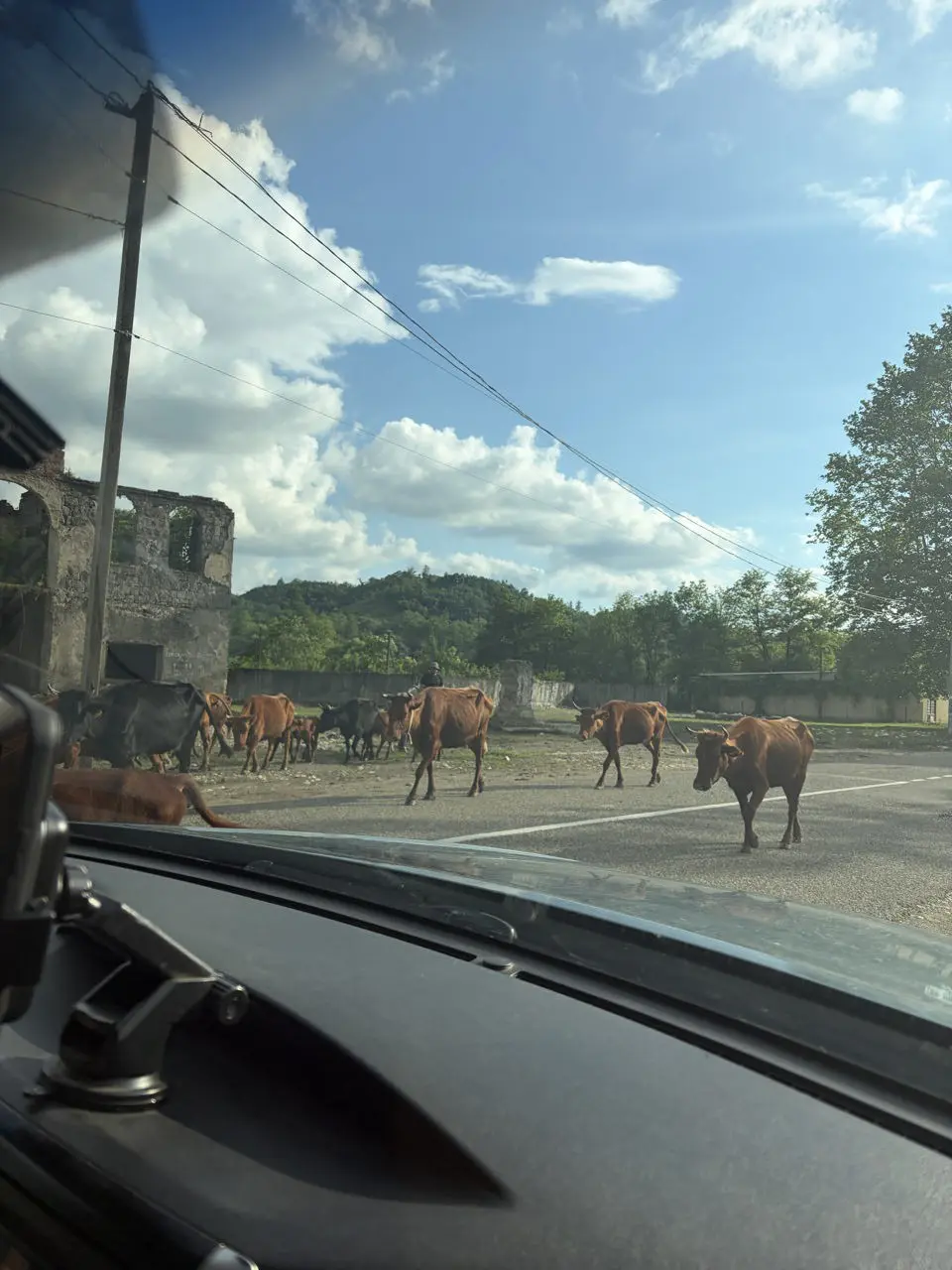 koeien die een weg in Georgië oversteken, met ruïnes en bergen